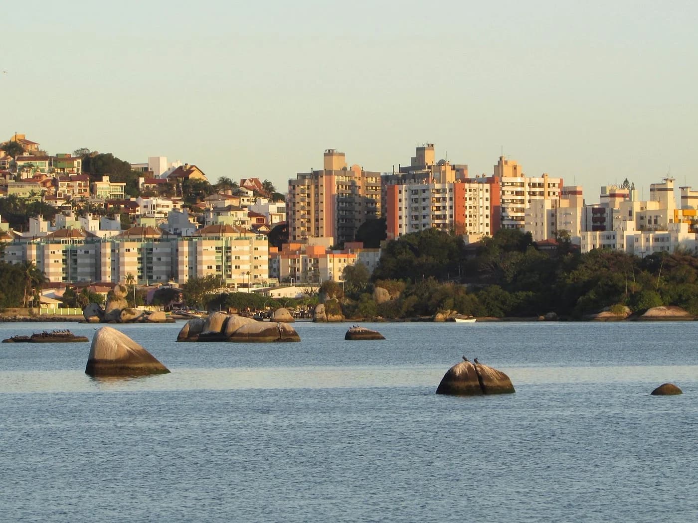 Prefeitura Municipal de São José SC abre processo seletivo para cadastro de reserva na Educação