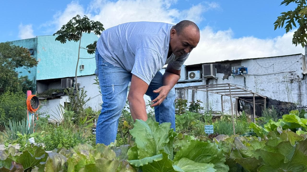 Projeto 'Horta Solidária' Impulsiona Comunidade e Sustentabilidade em São José