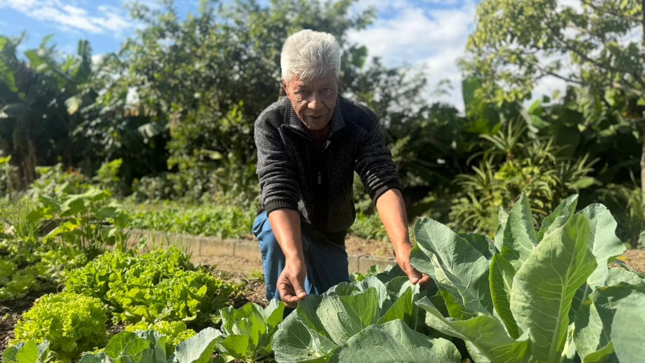 Hortas comunitárias transformam terrenos abandonados em alimento, renda e união em São José