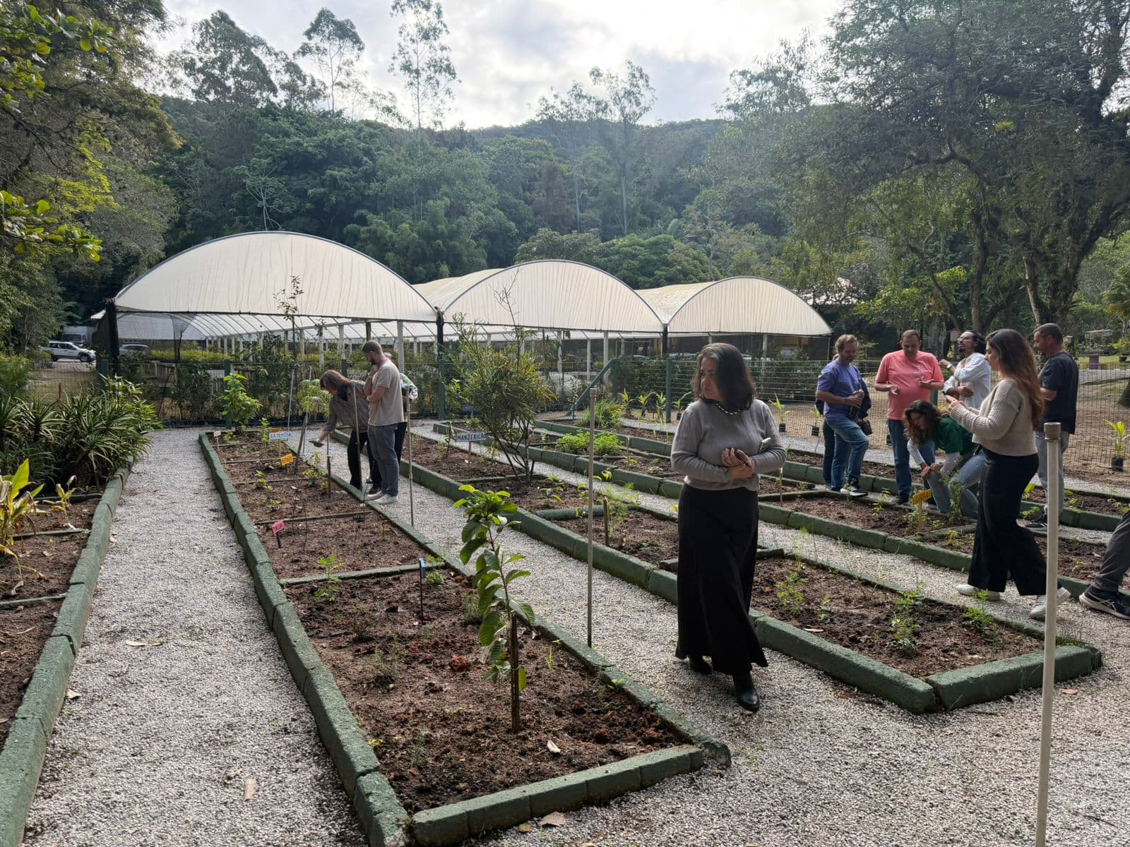Horta Medicinal é inaugurada em São José para conectar crianças à natureza e saberes tradicionais