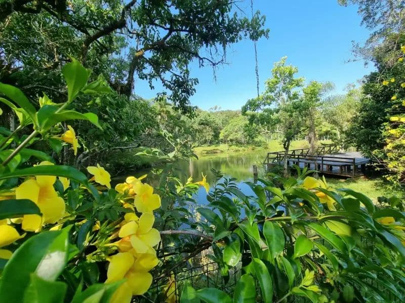 São José celebra Mês do Meio Ambiente com foco em educação, cultura e sustentabilidade