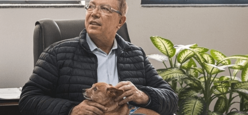 São José Proíbe Venda de Animais e Cria Mecanismo para Doações em Eventos