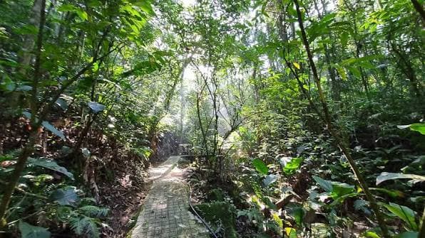 Nova sinalização reforça segurança e educação ambiental no Parque dos Sabiás