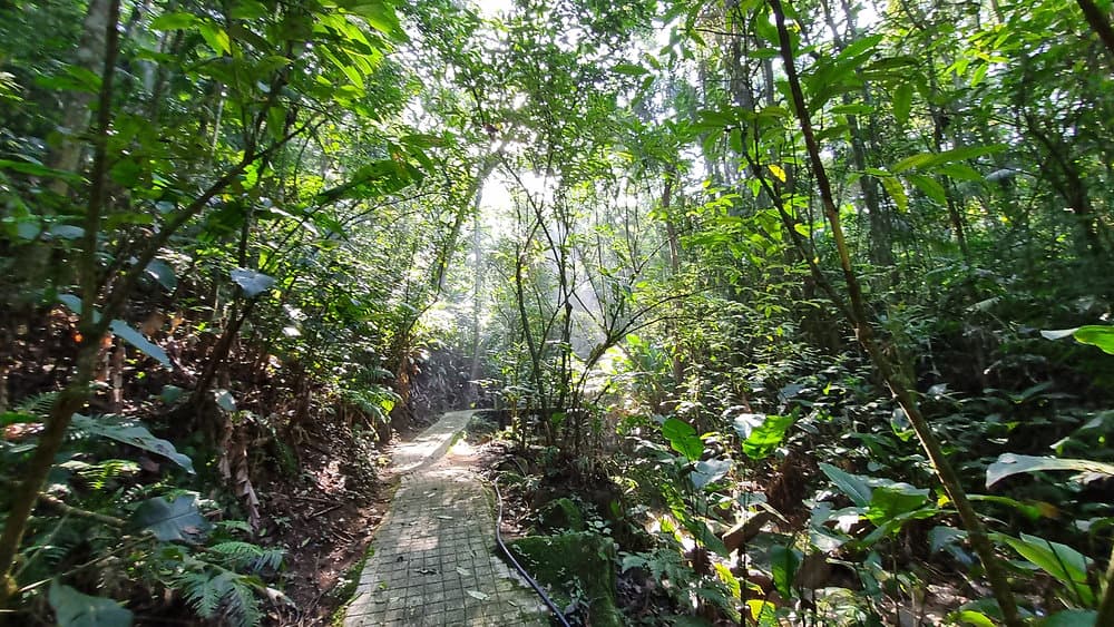 Parque dos Sabiás terá dia especial de lazer, educação ambiental e contato com a natureza
