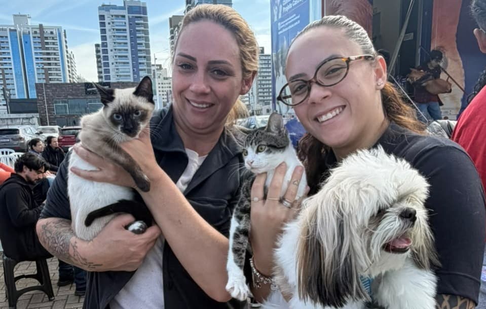 São José Realiza o Maior Mutirão de Castração Animal da História com Foco no Bem-Estar Pet