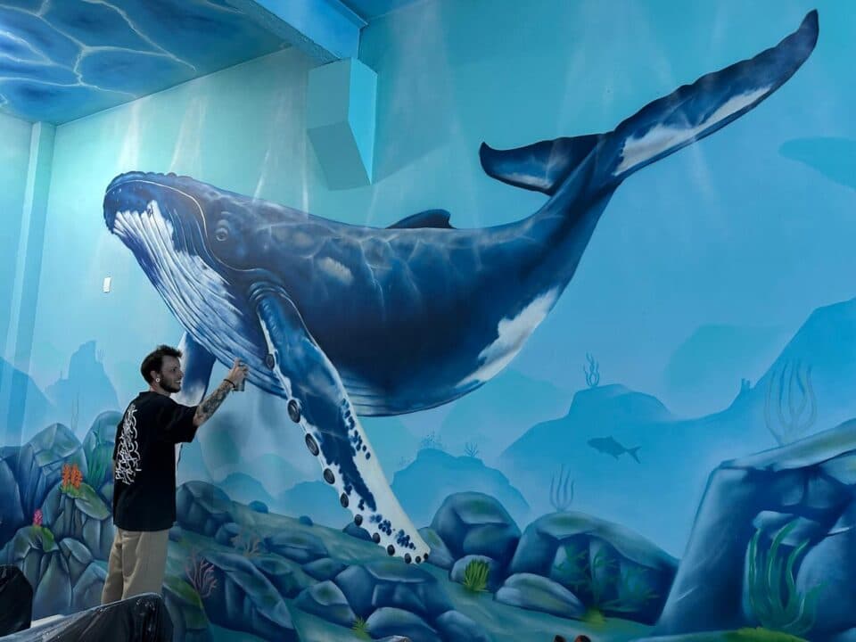 Auditório de Escola em São José Ganha Vida com Arte Subaquática para Imersão Marinha